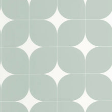 Load image into Gallery viewer, Detour | Outlines - Caselio