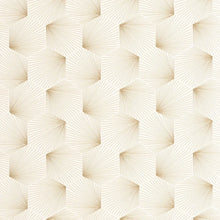 Load image into Gallery viewer, Filament | Graphic - Caselio