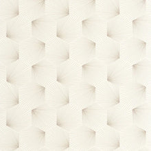 Load image into Gallery viewer, Filament | Graphic - Caselio