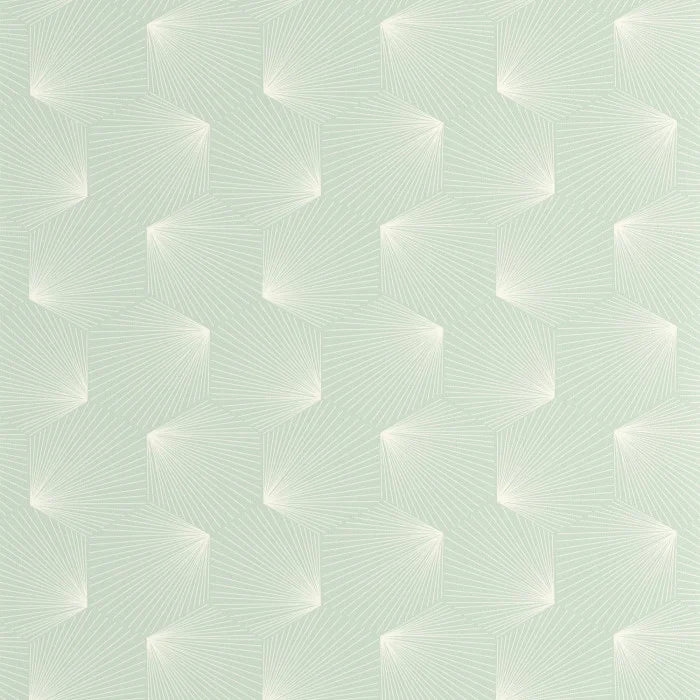 Filament | Graphic - Caselio