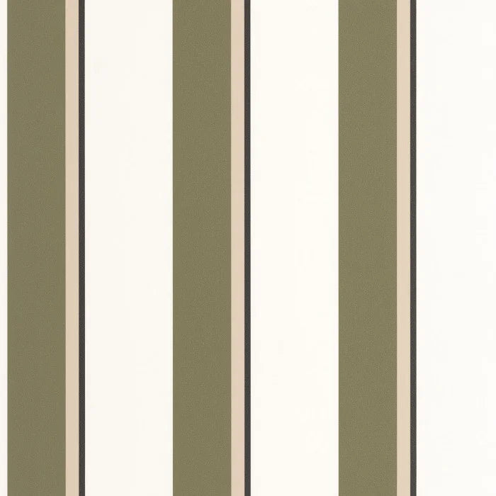 Linear | Graphic - Caselio