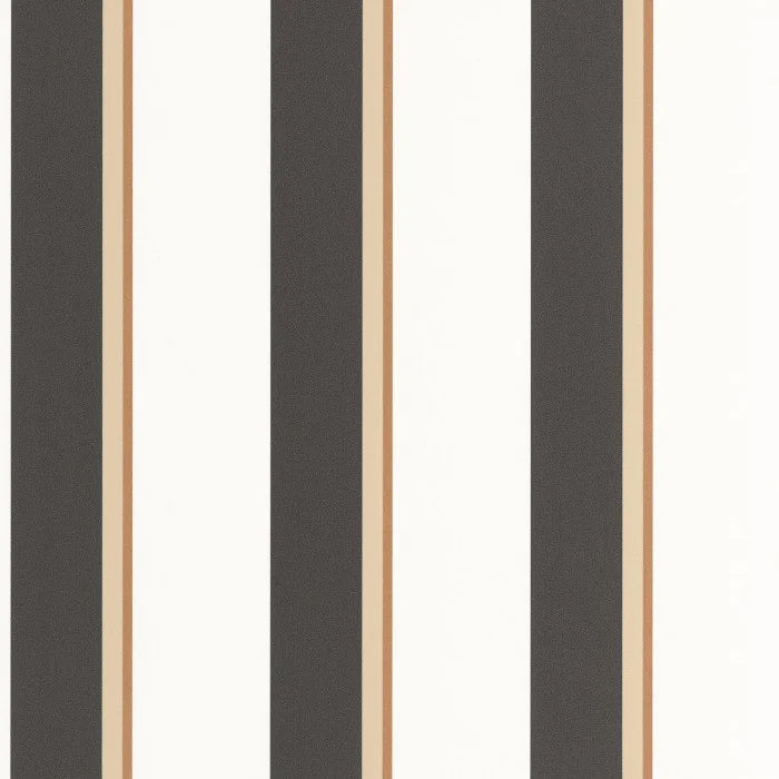 Linear | Graphic - Caselio