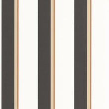 Load image into Gallery viewer, Linear | Graphic - Caselio