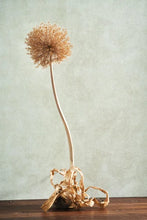 Load image into Gallery viewer, Masaya | Riverside 4 - Casadeco