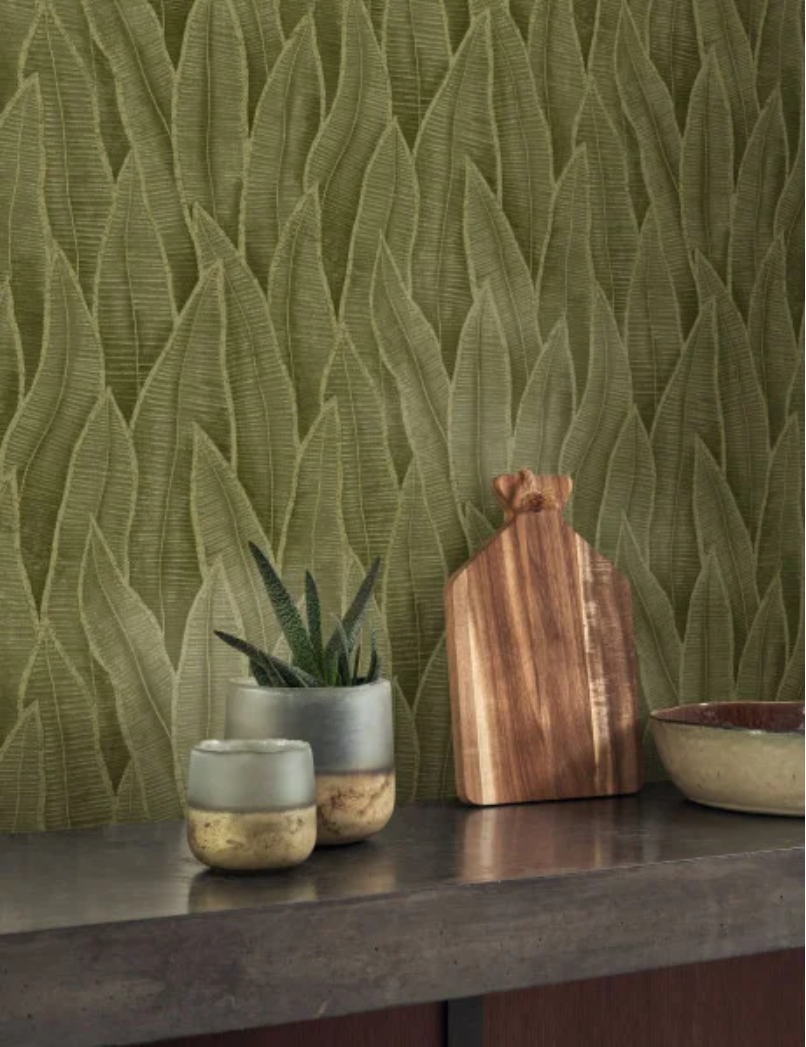 Sansevieria | Rio - Casadeco