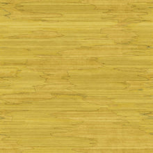 Load image into Gallery viewer, Nami | Yumma - Hohenberger