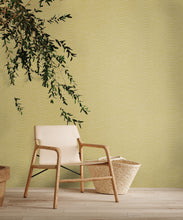 Load image into Gallery viewer, Ripple | Chalk - Hohenberger