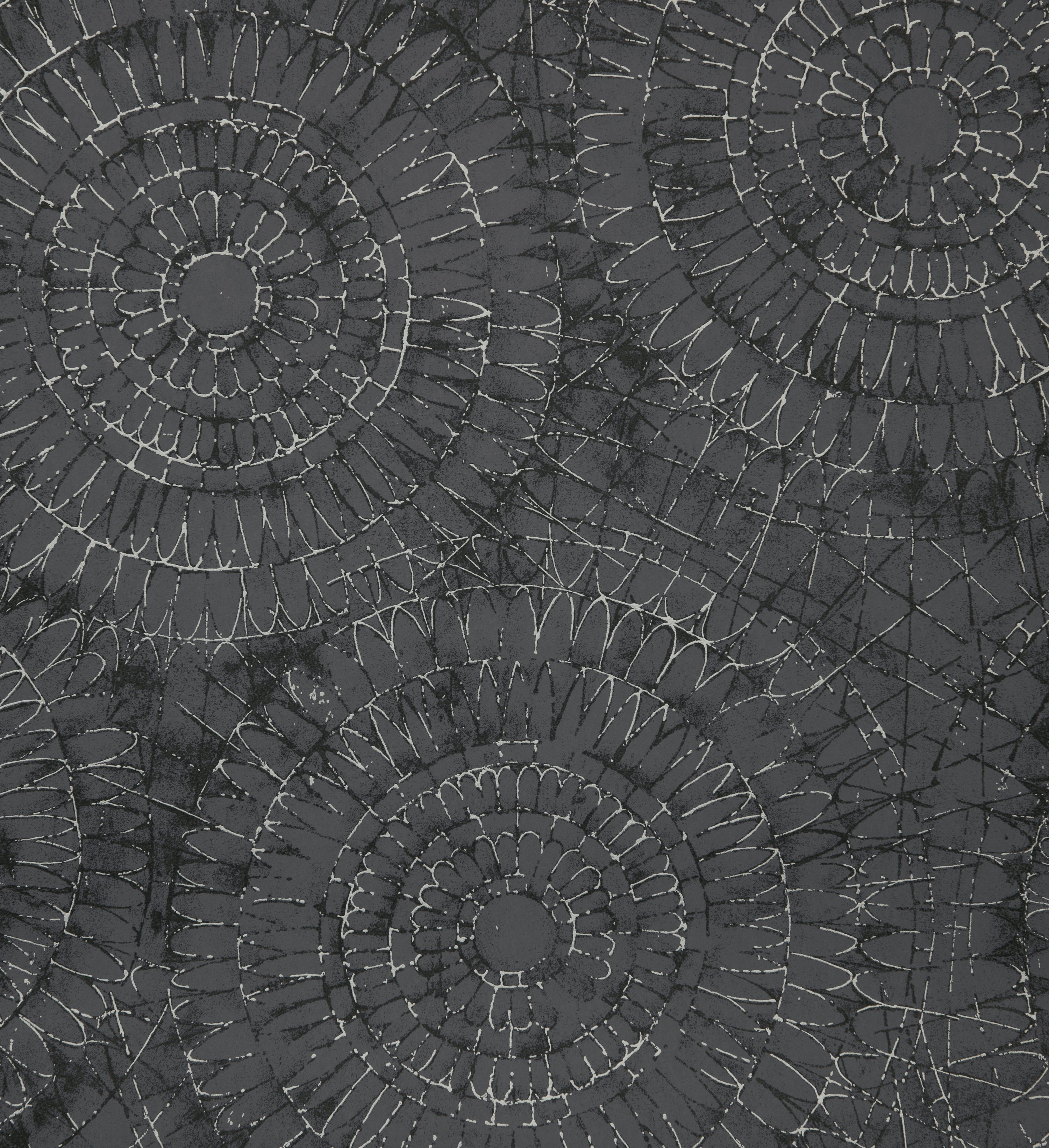 Notre Dame | Chalk - Hohenberger