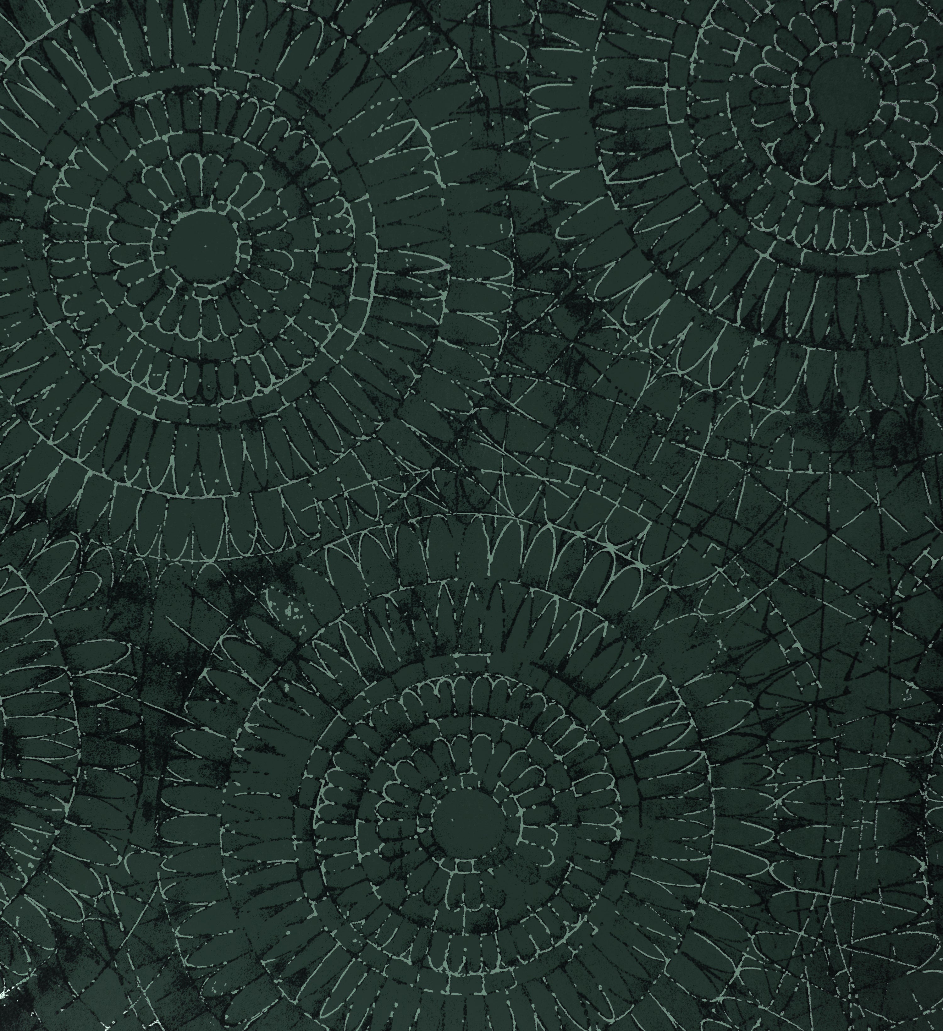 Notre Dame | Chalk - Hohenberger