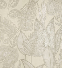 Load image into Gallery viewer, Pianta | Tesoro - Hohenberger