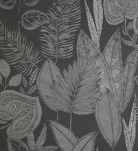 Load image into Gallery viewer, Pianta | Tesoro - Hohenberger