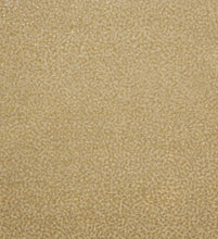 Load image into Gallery viewer, Punto | Tesoro - Hohenberger