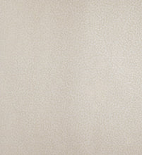 Load image into Gallery viewer, Punto | Tesoro - Hohenberger