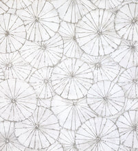 Load image into Gallery viewer, Taiyo | Yumma - Hohenberger