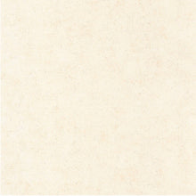 Load image into Gallery viewer, Mur A La Chaux | So Color 5 - Casadeco