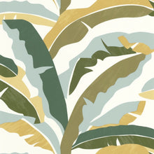 Load image into Gallery viewer, Ampleur | XXL - Caselio