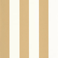 Load image into Gallery viewer, Wide Lines | Moonlight - Caselio