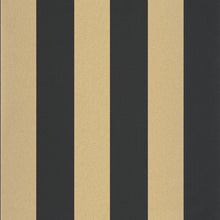 Load image into Gallery viewer, Wide Lines | Moonlight - Caselio