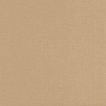 Load image into Gallery viewer, Uni Gaze | Moonlight II - Caselio