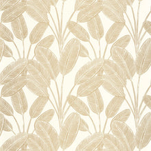 Load image into Gallery viewer, Little Banana | Moonlight Ii - Caselio