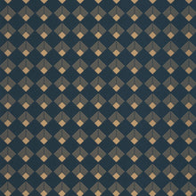 Load image into Gallery viewer, Patch | Labyrinth - Caselio