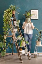 Load image into Gallery viewer, Green Life Sparkle | Happy Therapy - Caselio