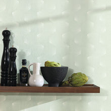 Load image into Gallery viewer, Filament | Graphic - Caselio