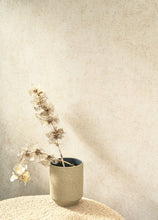 Load image into Gallery viewer, Mur A La Chaux | So Color 5 - Casadeco