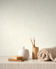 Load image into Gallery viewer, Mur A La Chaux | So Color 5 - Casadeco