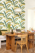 Load image into Gallery viewer, Ampleur | XXL - Caselio