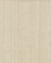 Load image into Gallery viewer, Museum