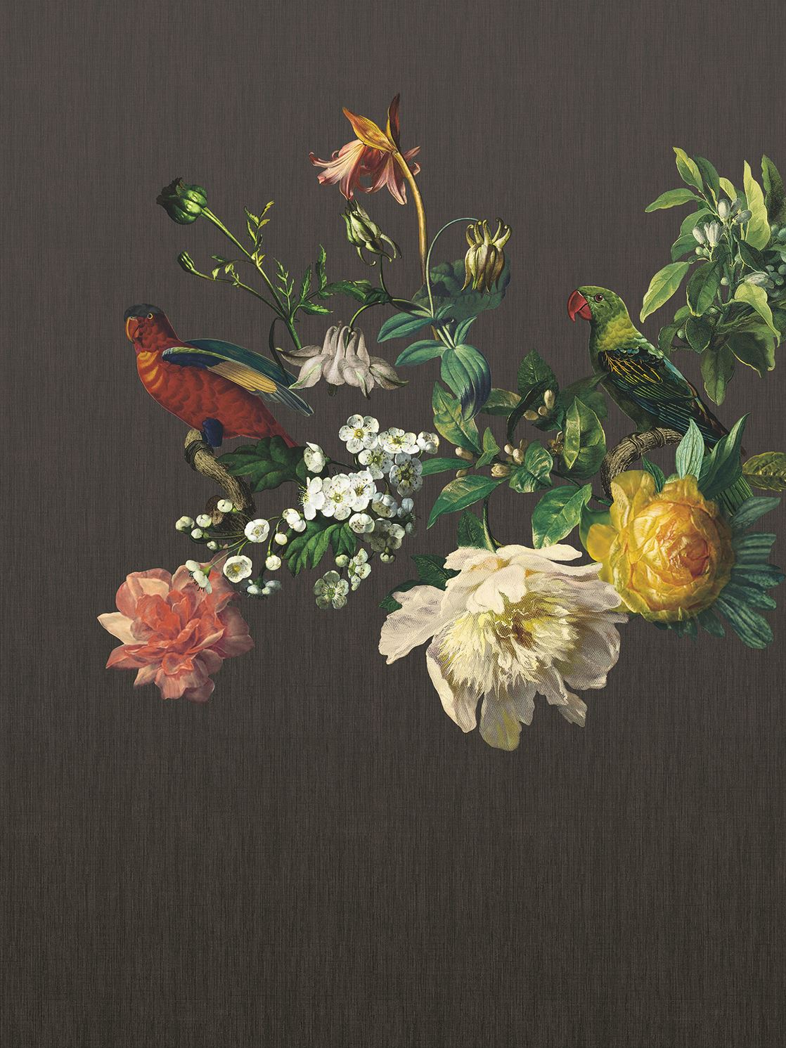 Big Birds | Museum - Eijffinger