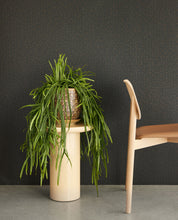 Load image into Gallery viewer, Eugio Mac