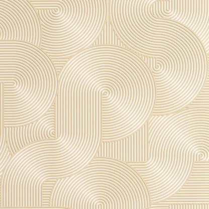 Circle | Graphic - Caselio