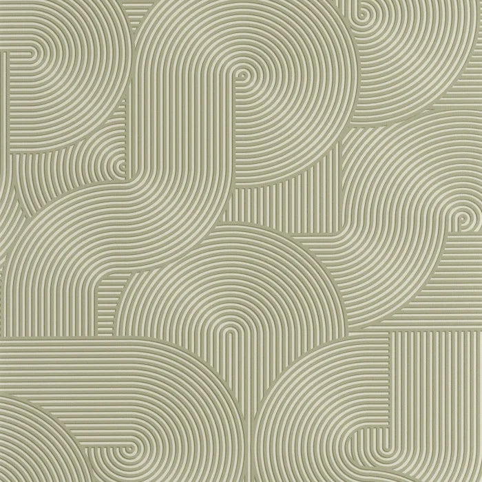 Circle | Graphic - Caselio