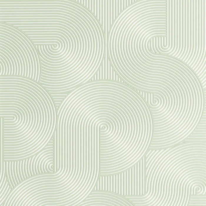 Circle | Graphic - Caselio