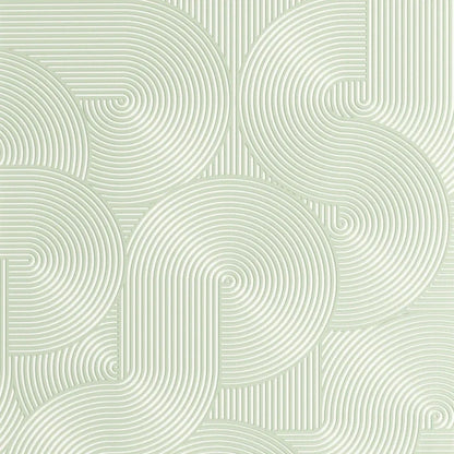 Circle | Graphic - Caselio