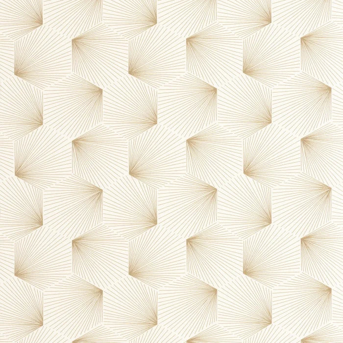 Filament | Graphic - Caselio
