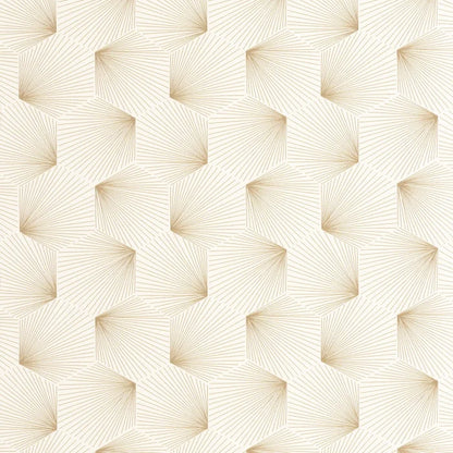Filament | Graphic - Caselio