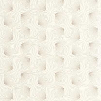 Filament | Graphic - Caselio