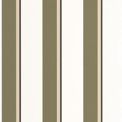 Linear | Graphic - Caselio