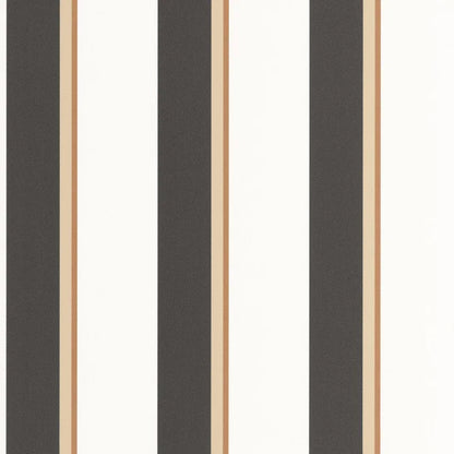 Linear | Graphic - Caselio