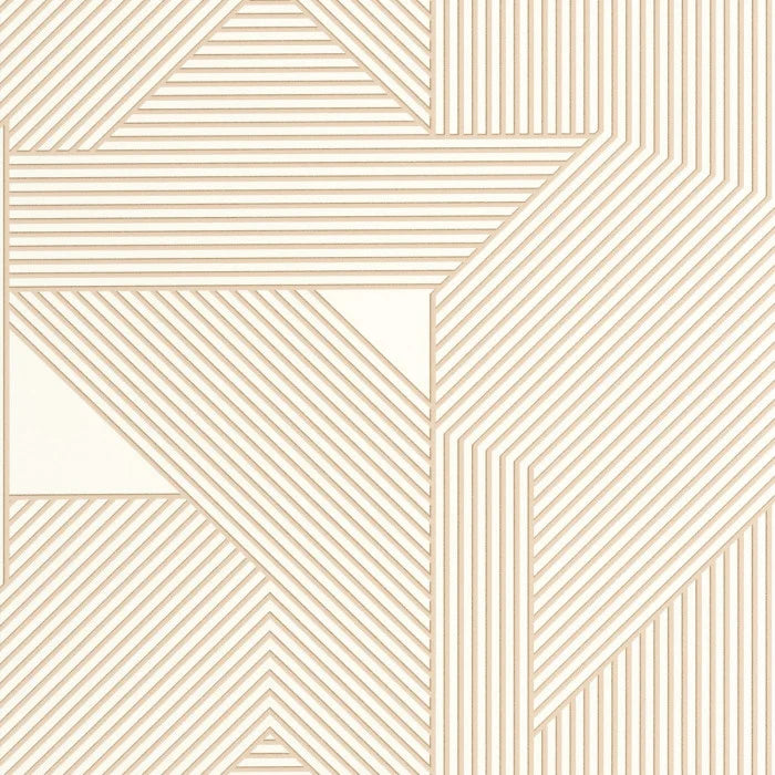 Movement | Graphic - Caselio