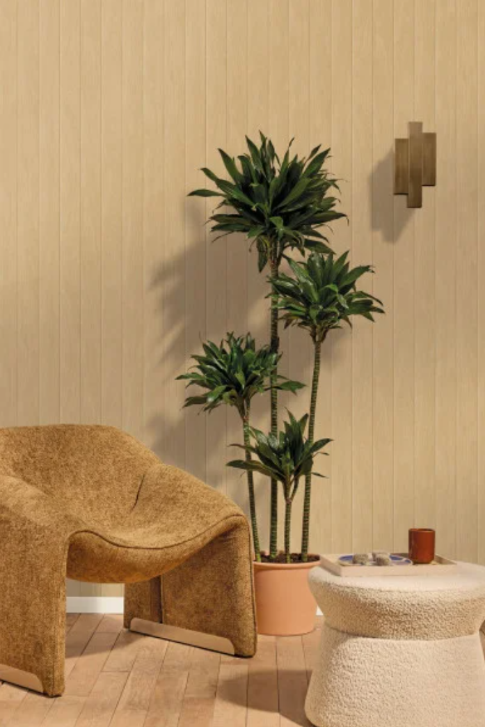 Essentia | Woodline - Caselio