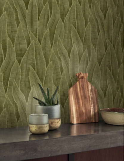 Sansevieria | Rio - Casadeco