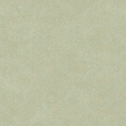 Noisetier | So Color 5 - Casadeco