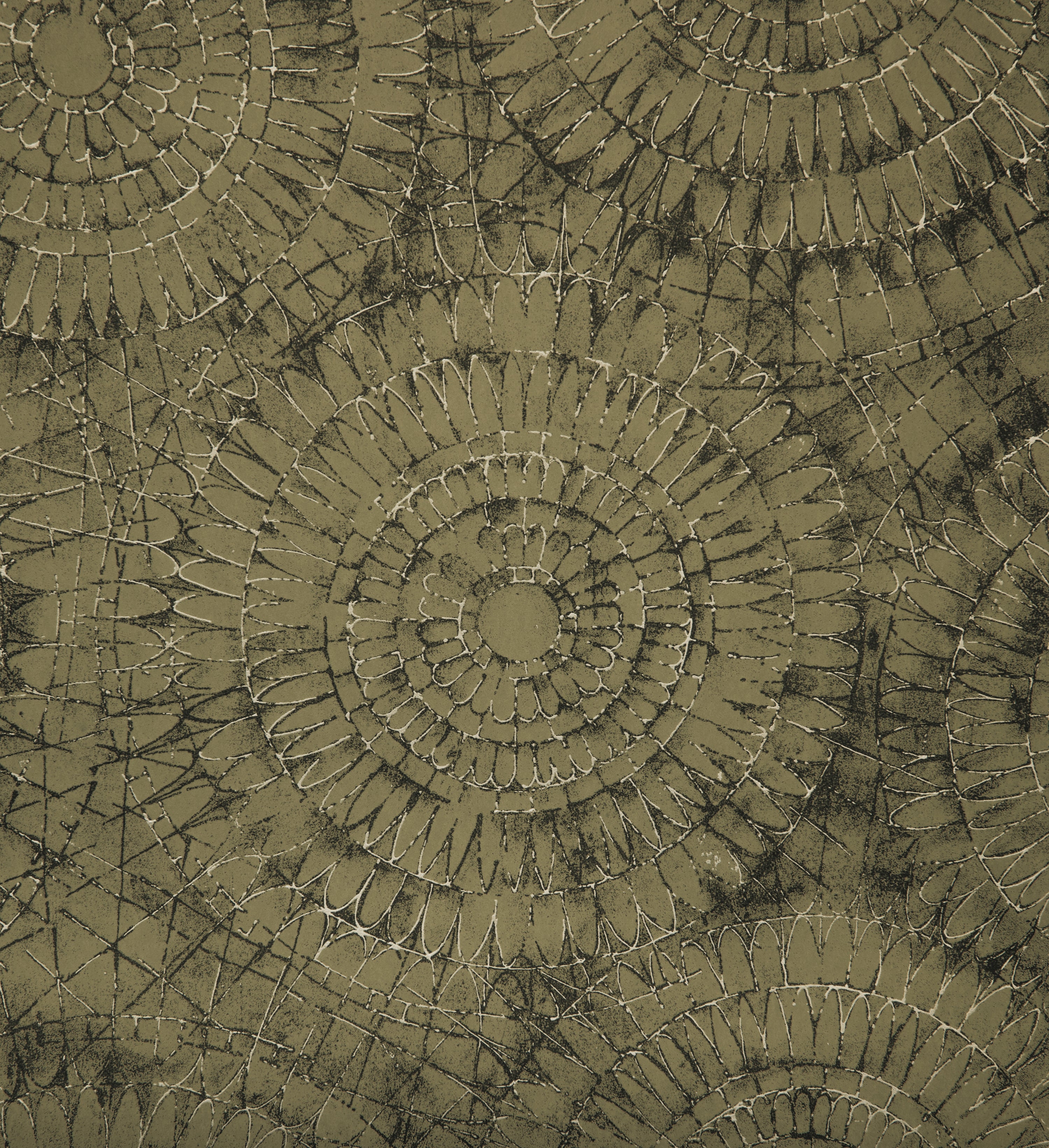 Notre Dame | Chalk - Hohenberger