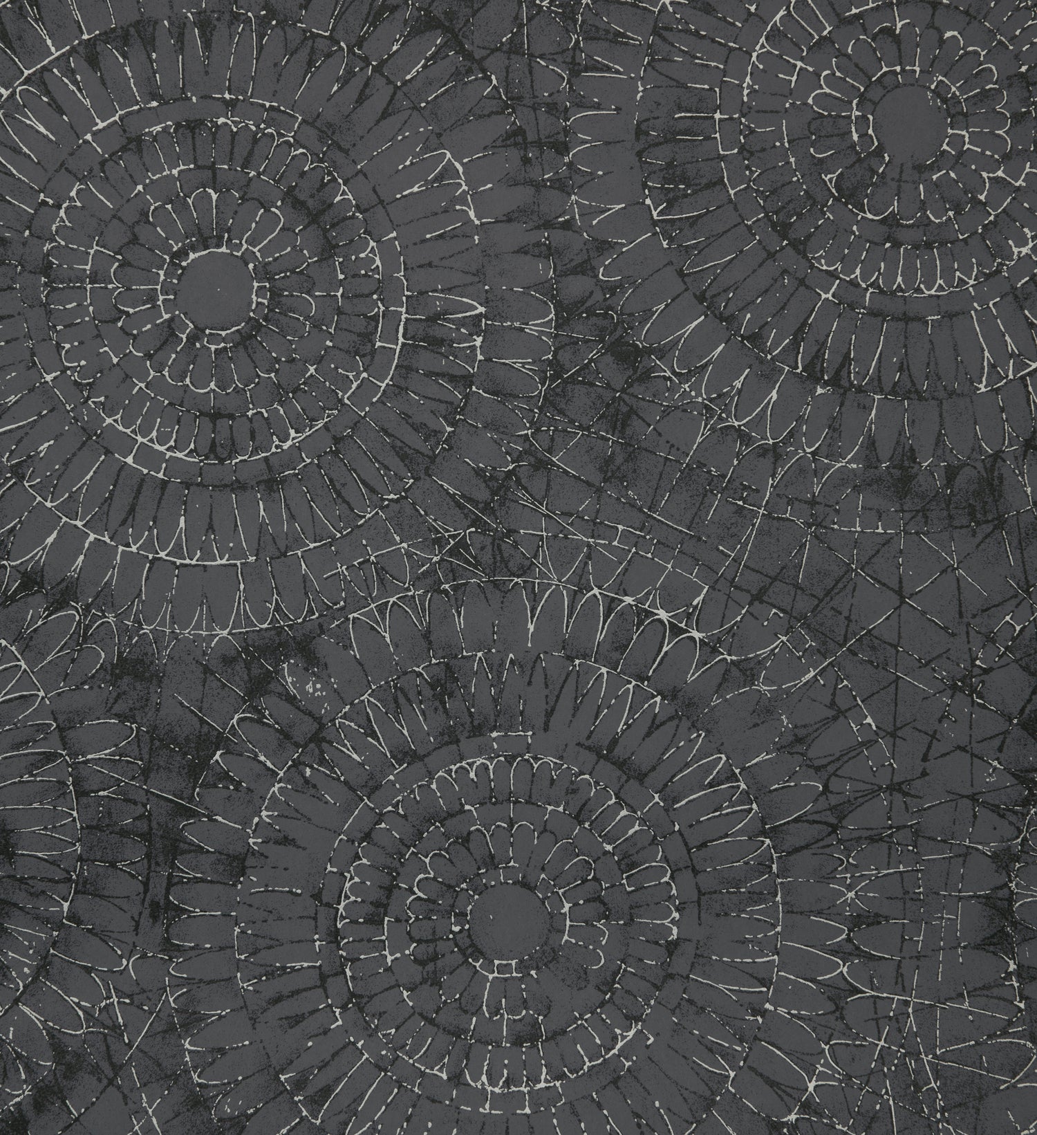 Notre Dame | Chalk - Hohenberger