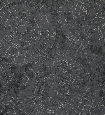 Notre Dame | Chalk - Hohenberger