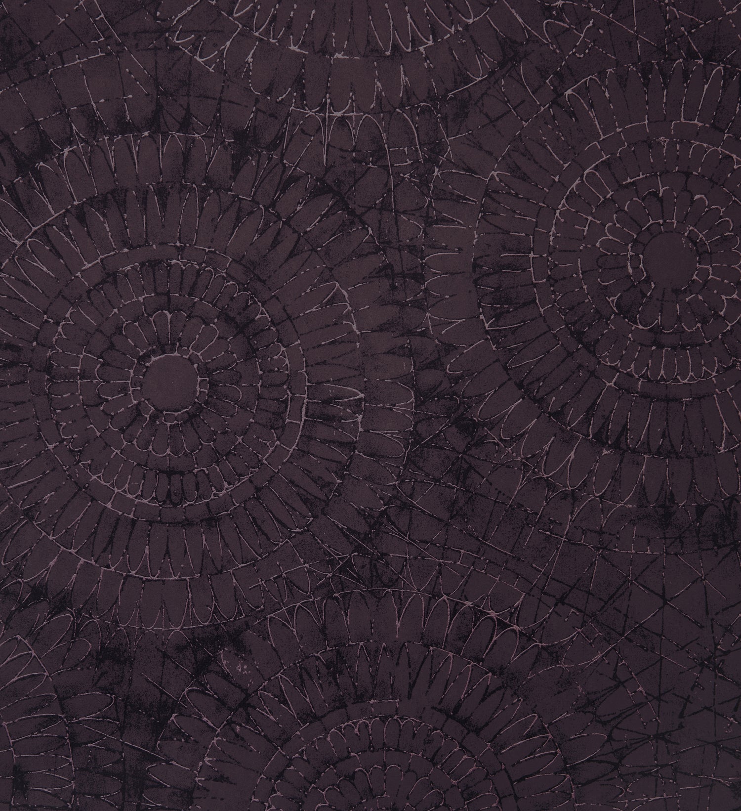 Notre Dame | Chalk - Hohenberger